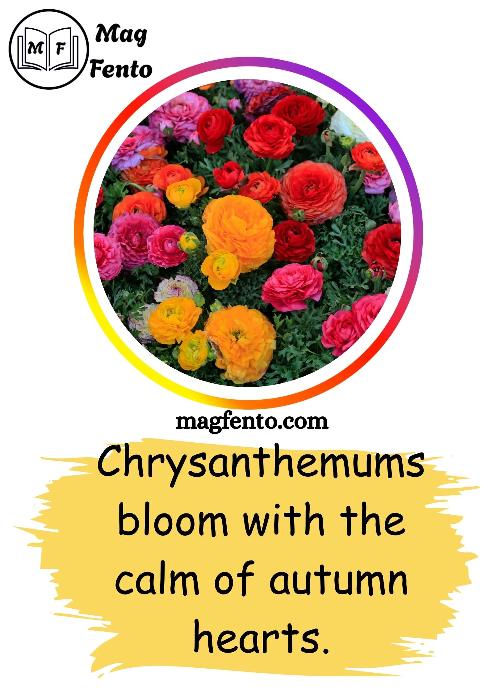 Flowers Captions for Instagram