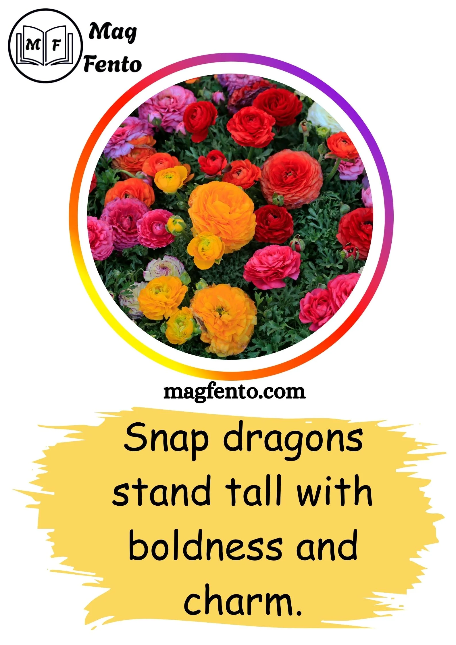 Flowers Captions for Instagram