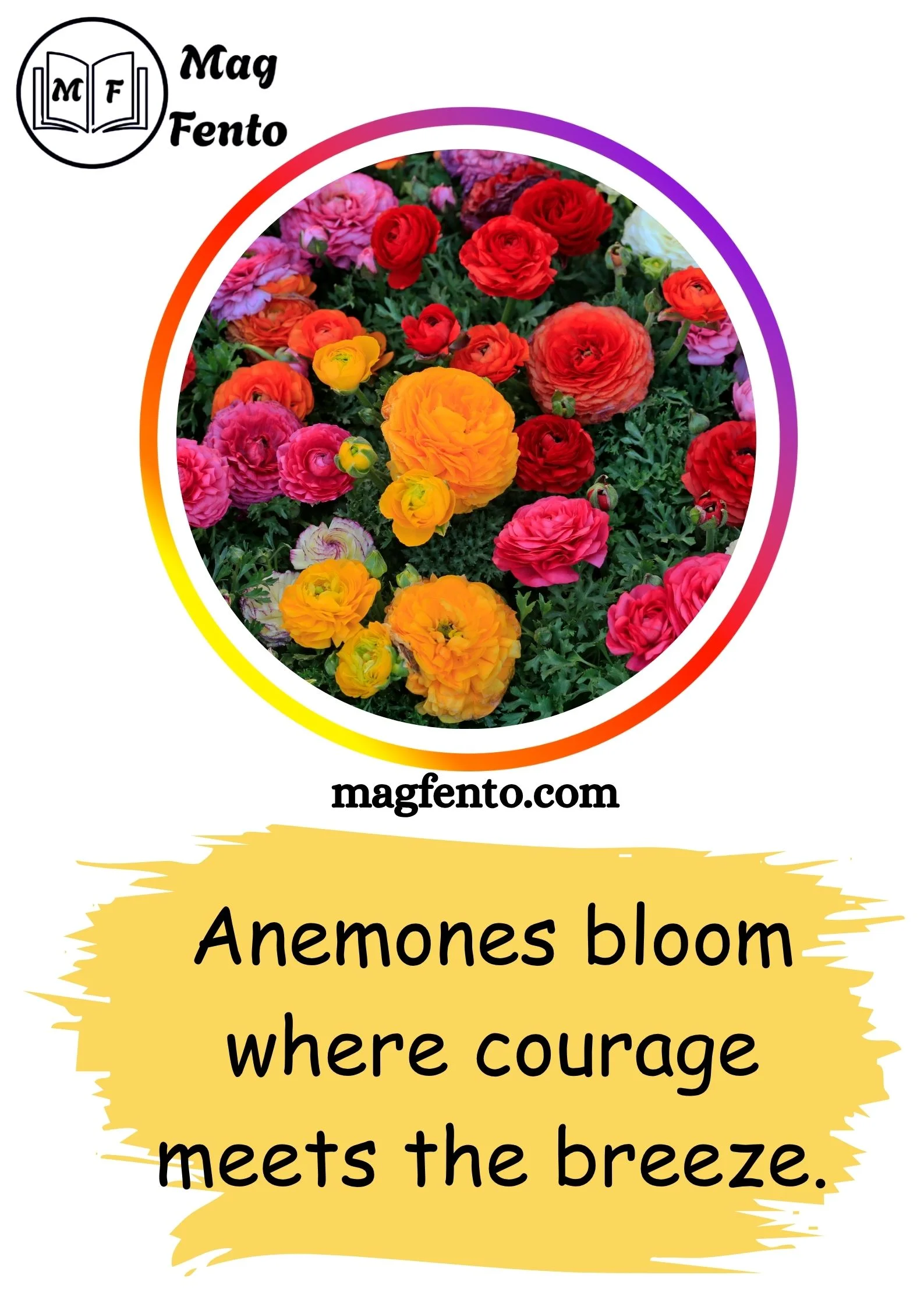 Flowers Captions for Instagram