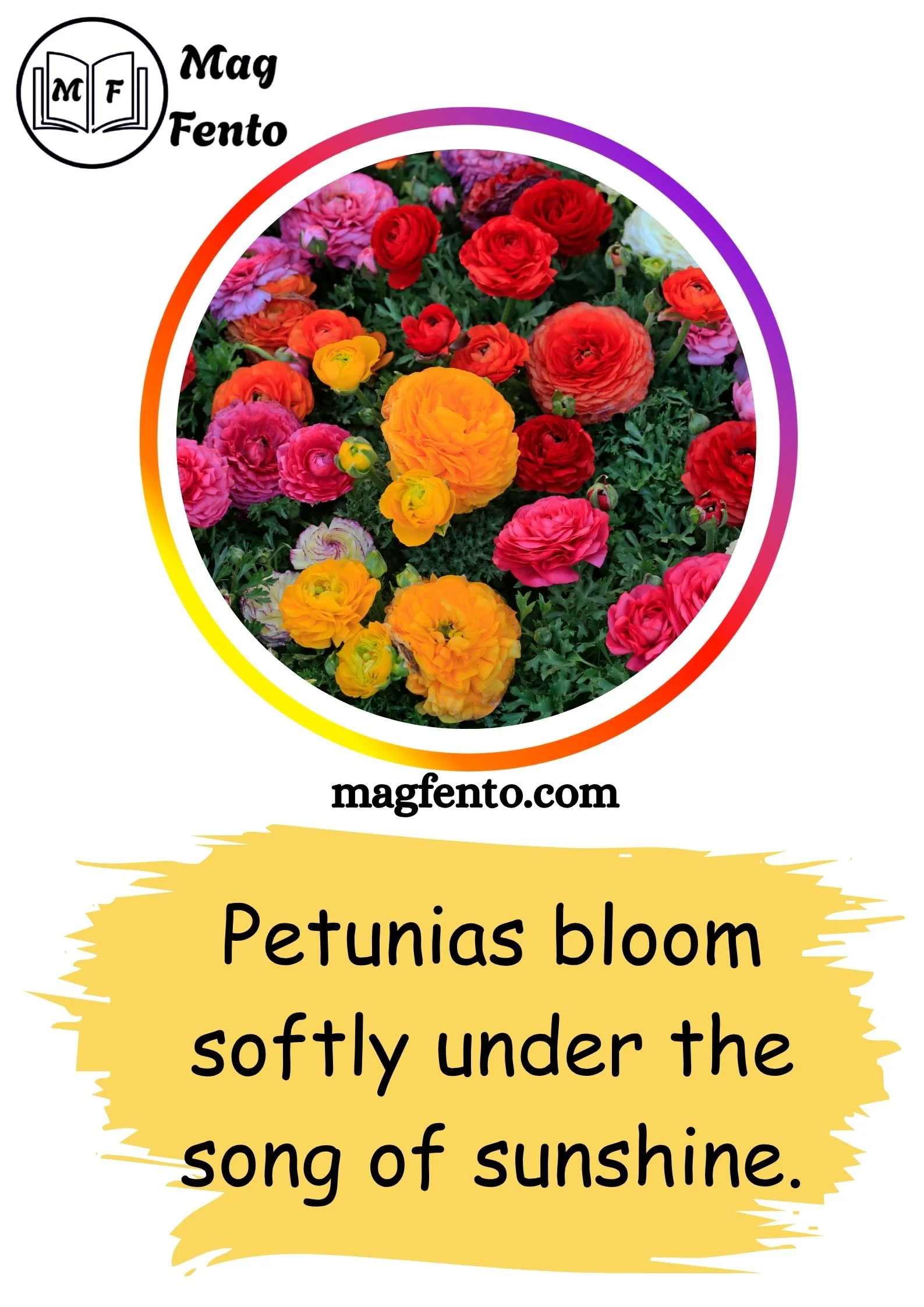 Flowers Captions for Instagram