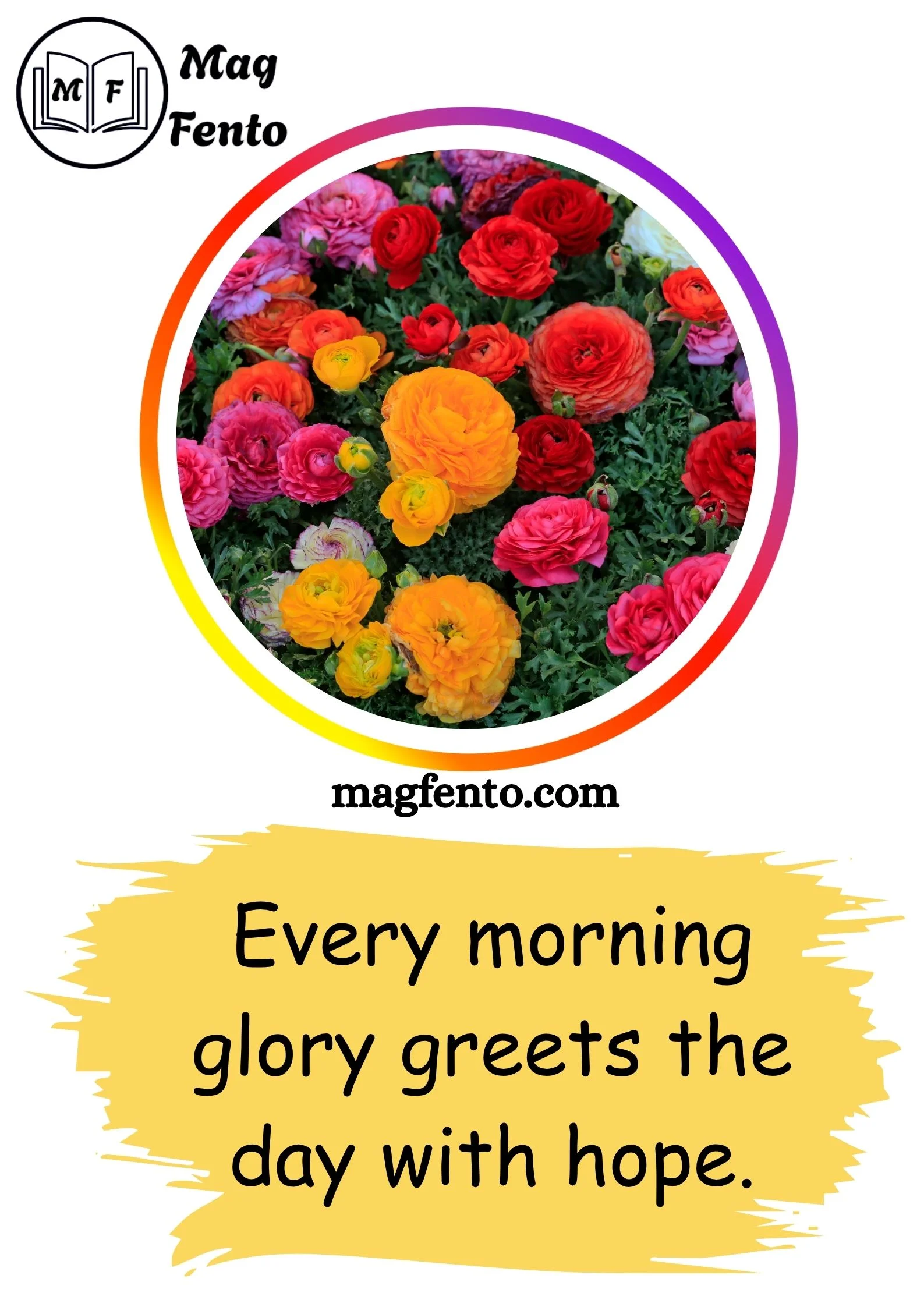 Flowers Captions for Instagram