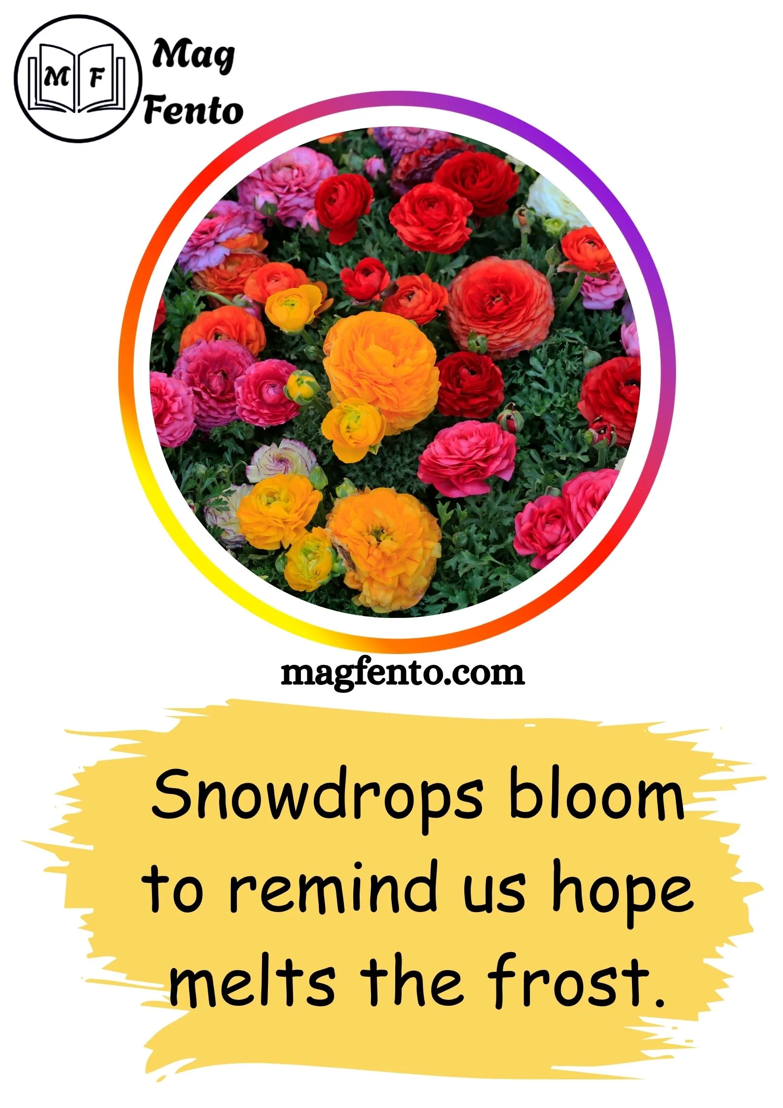 Flowers Captions for Instagram