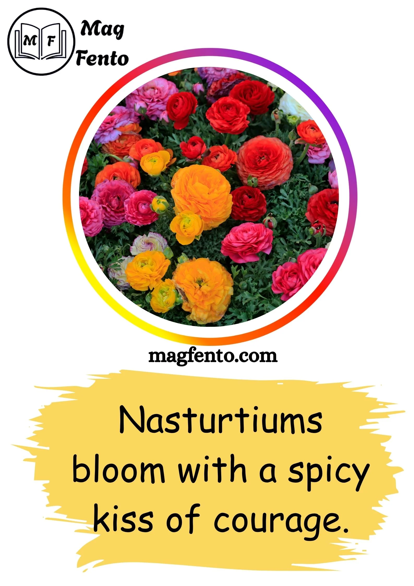 Flowers Captions for Instagram