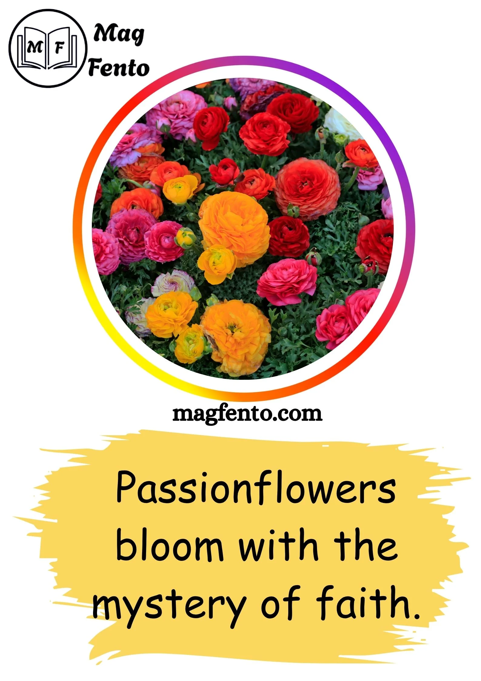 Flowers Captions for Instagram