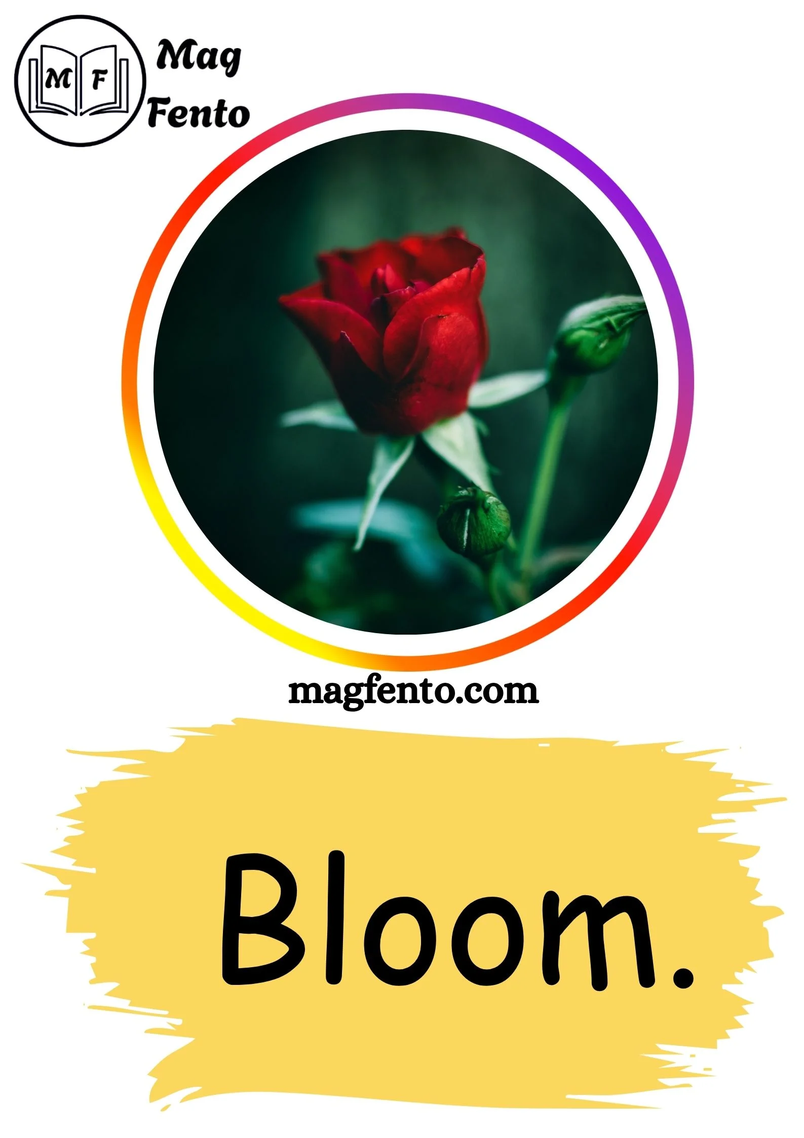 Rose Captions for Instagram