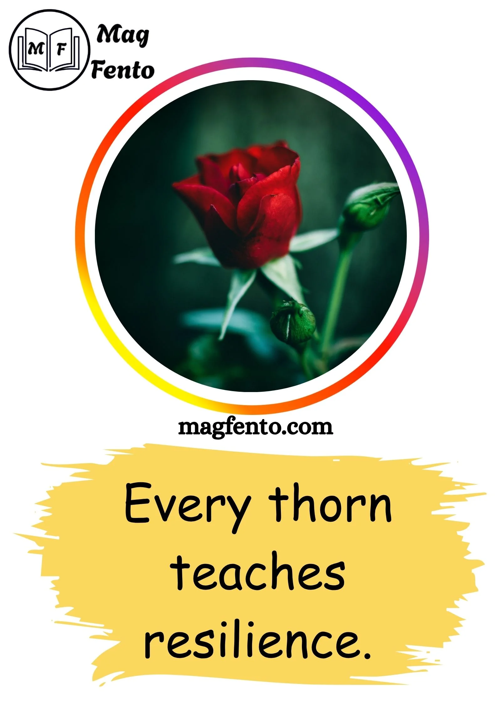 Rose Captions for Instagram