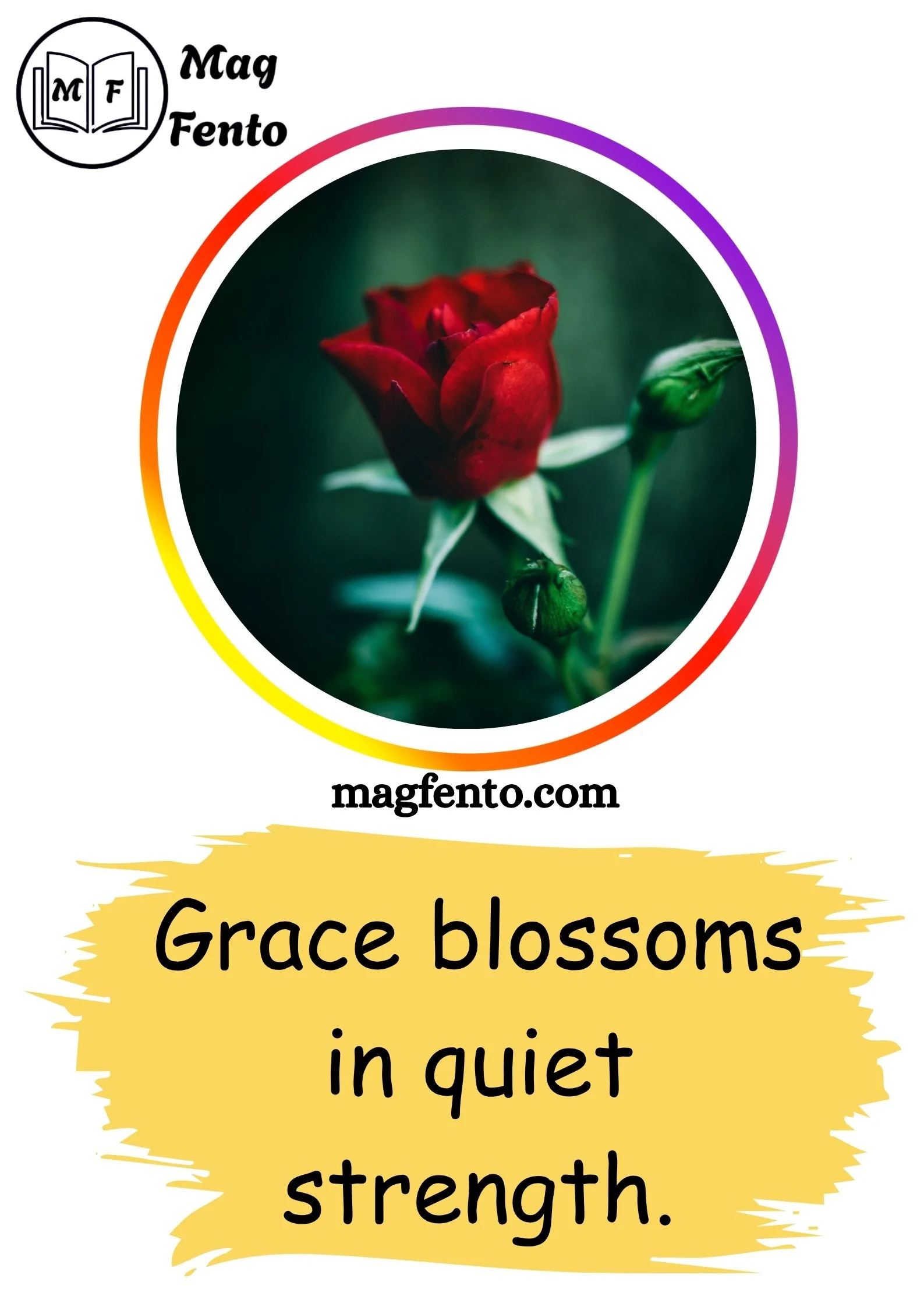 Rose Captions for Instagram