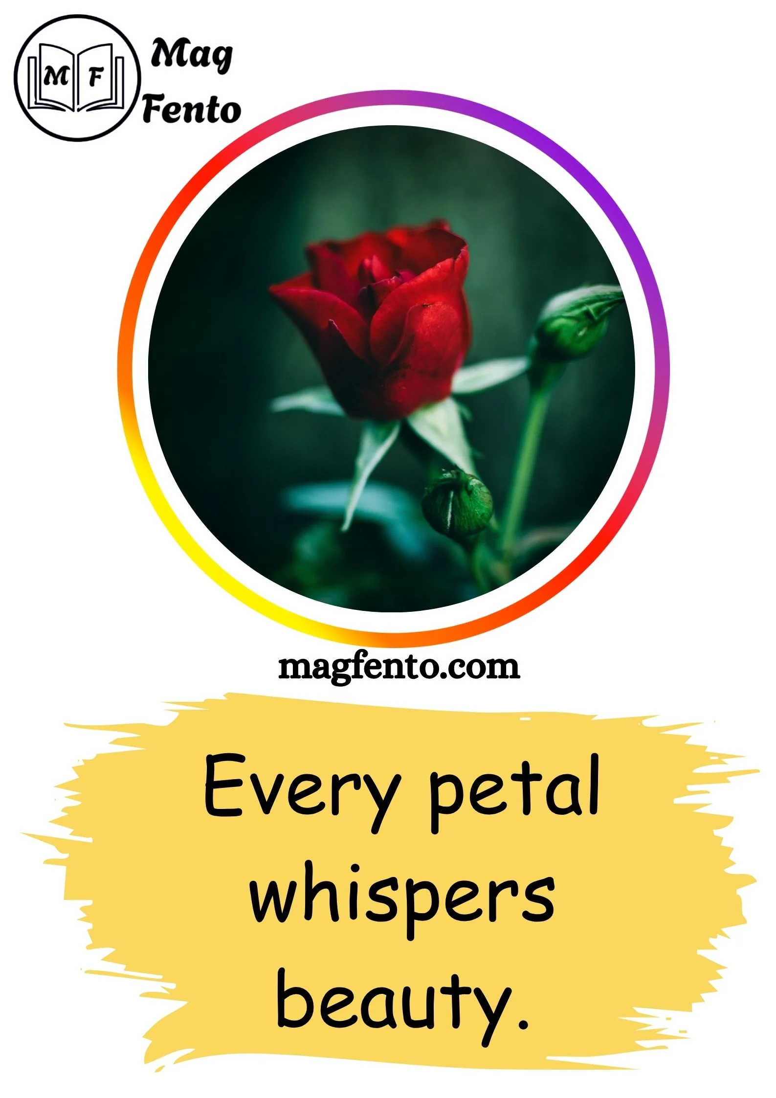 Rose Captions for Instagram