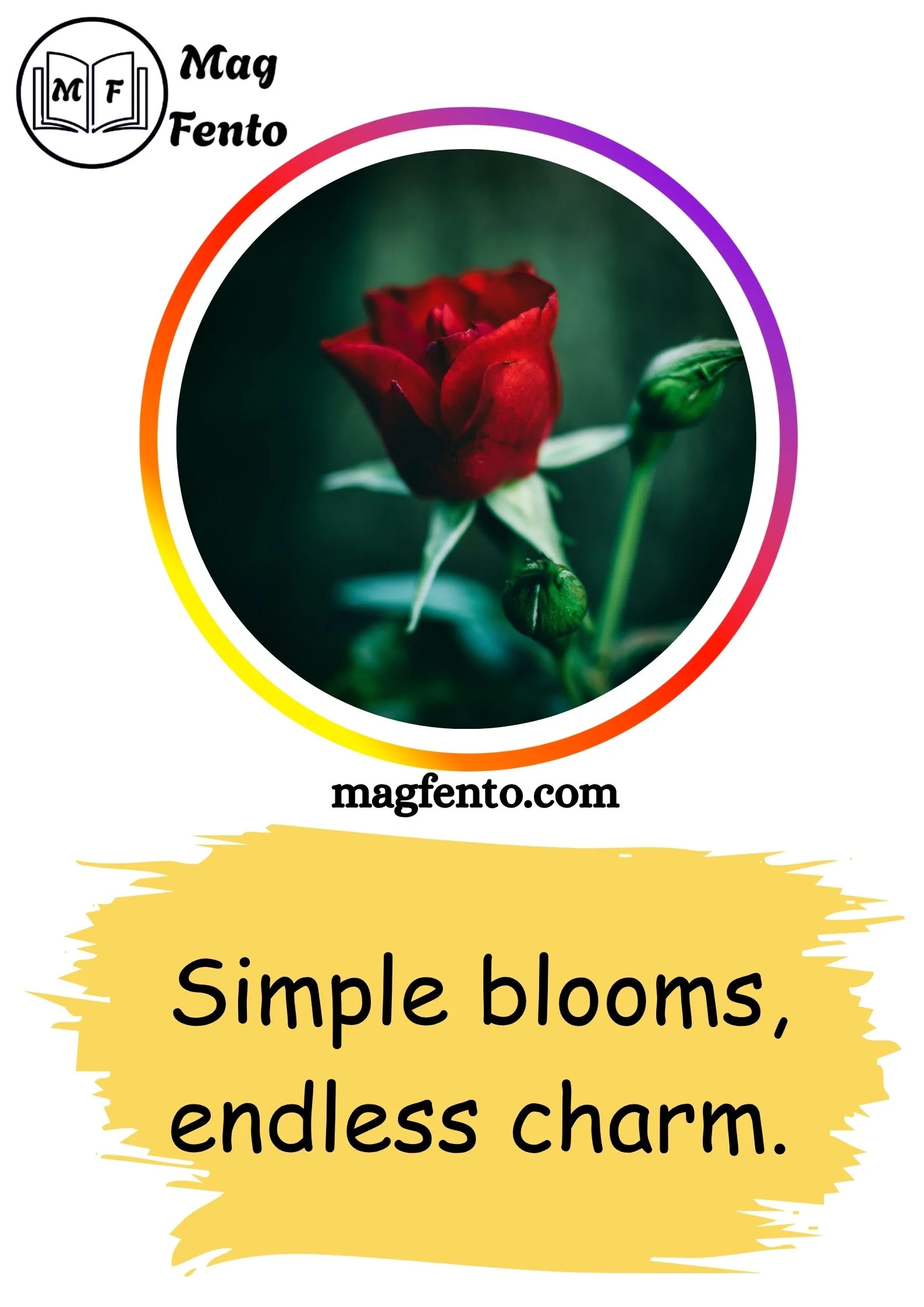 Rose Captions for Instagram