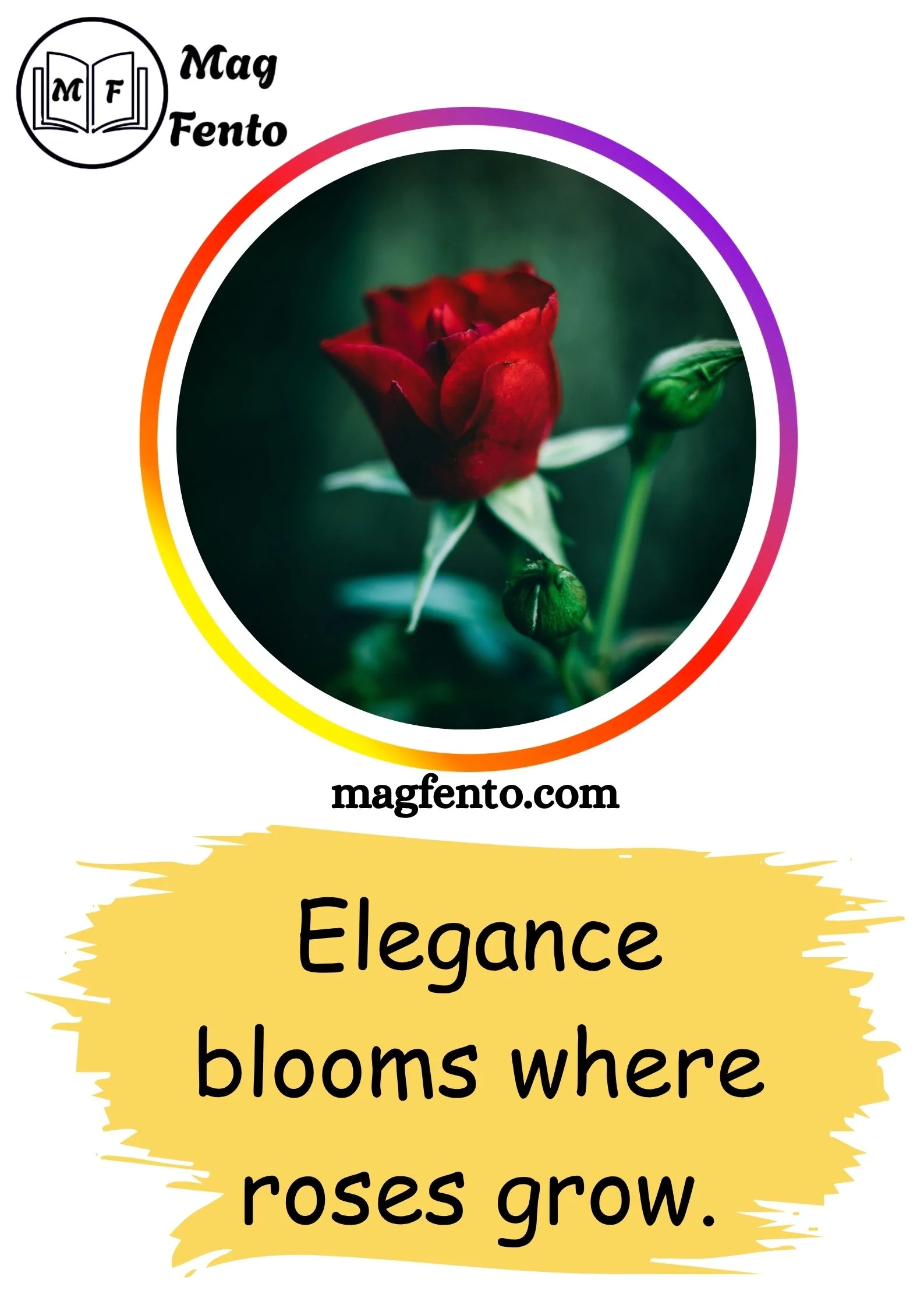 Rose Captions for Instagram