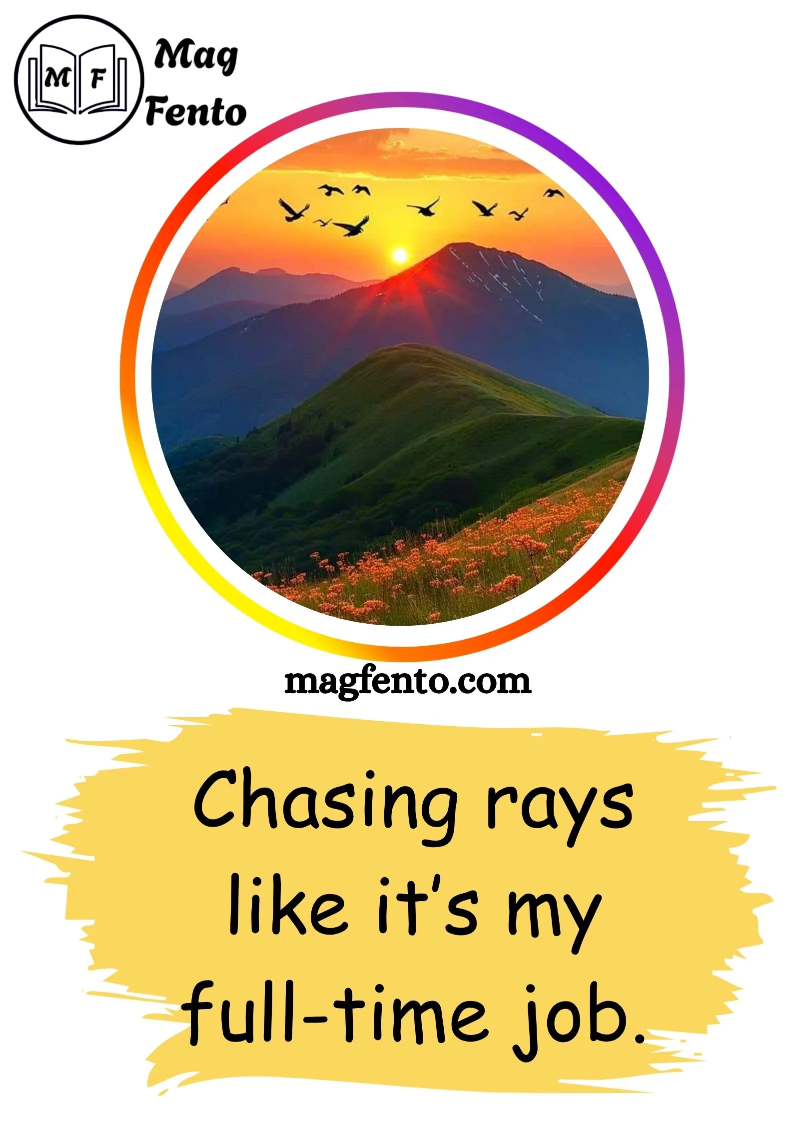 Sunshine Captions for Instagram