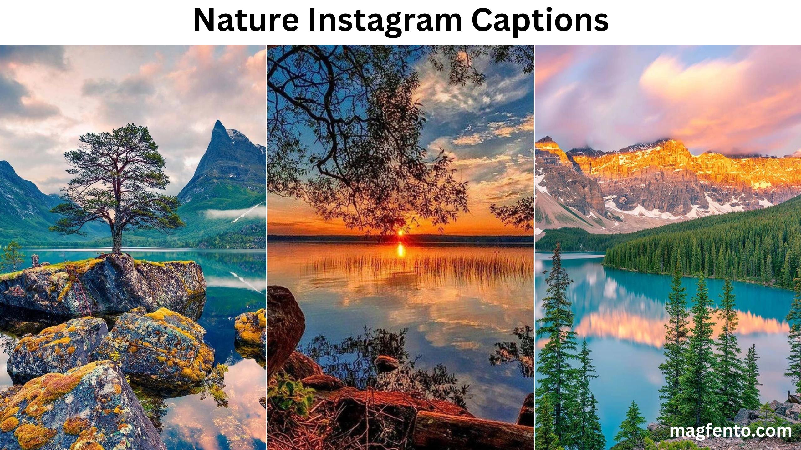 nature instagram captions