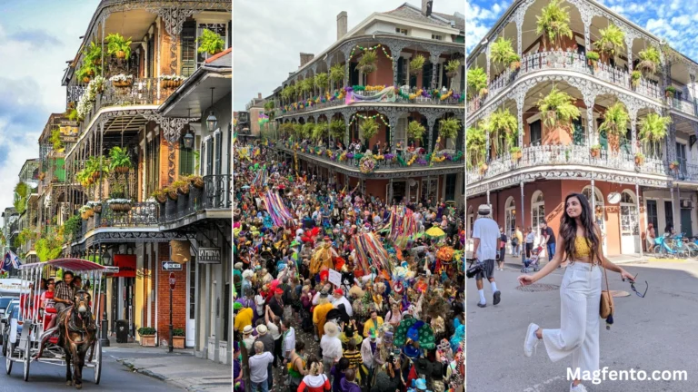 new orleans instagram captions