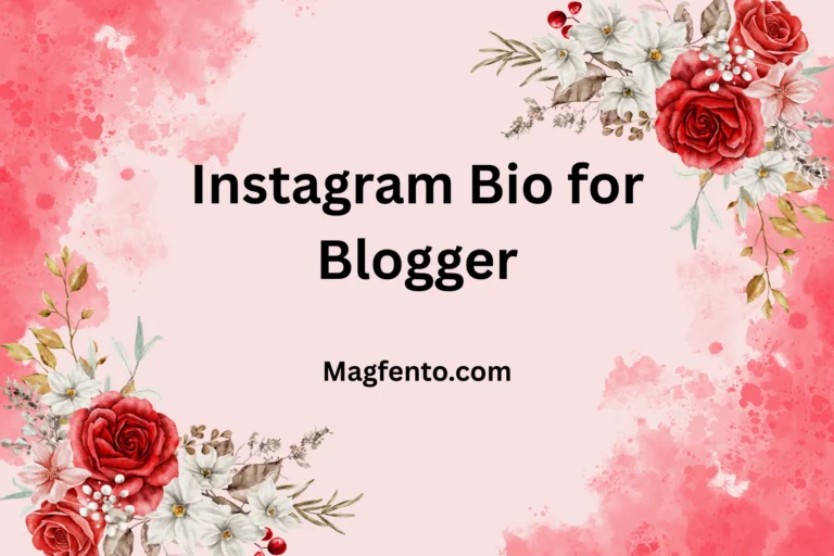 200+ Instagram Bio for Blogger