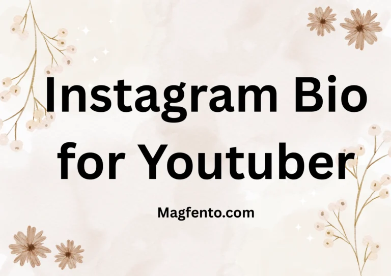 instagram bio for youtuber