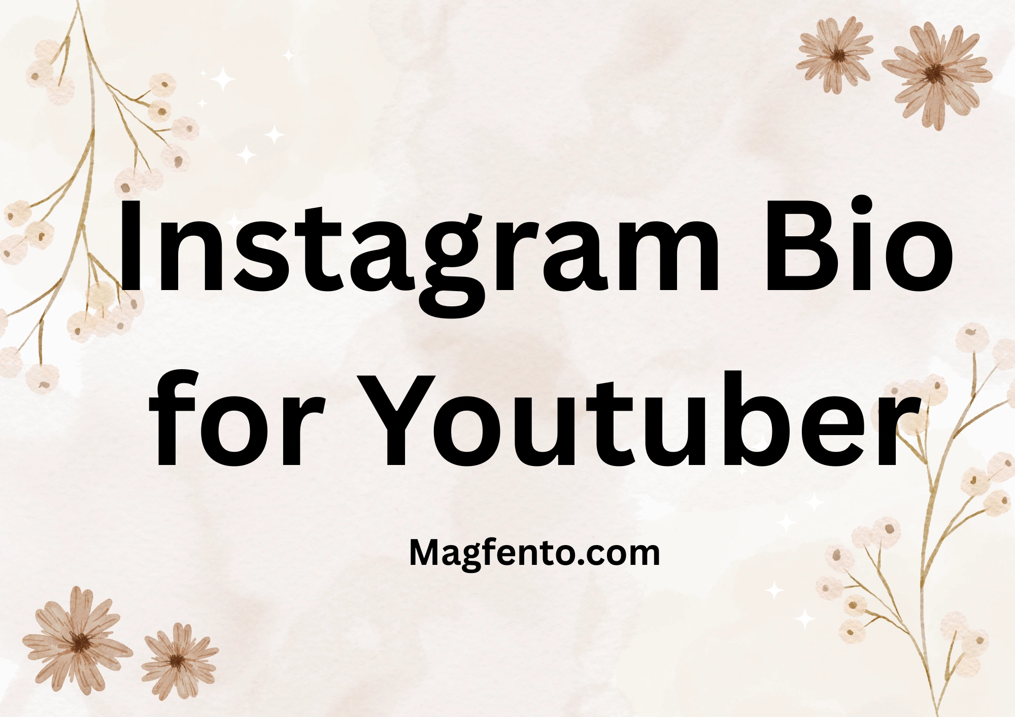 instagram bio for youtuber